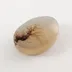 3038